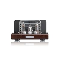 日本製 SOUND WARRIOR SWL-T20-SD 真空管アンプ 新品同様 直販ショップ限定特典付】SWL-T20-SD 真空管アンプ プリメインアンプ